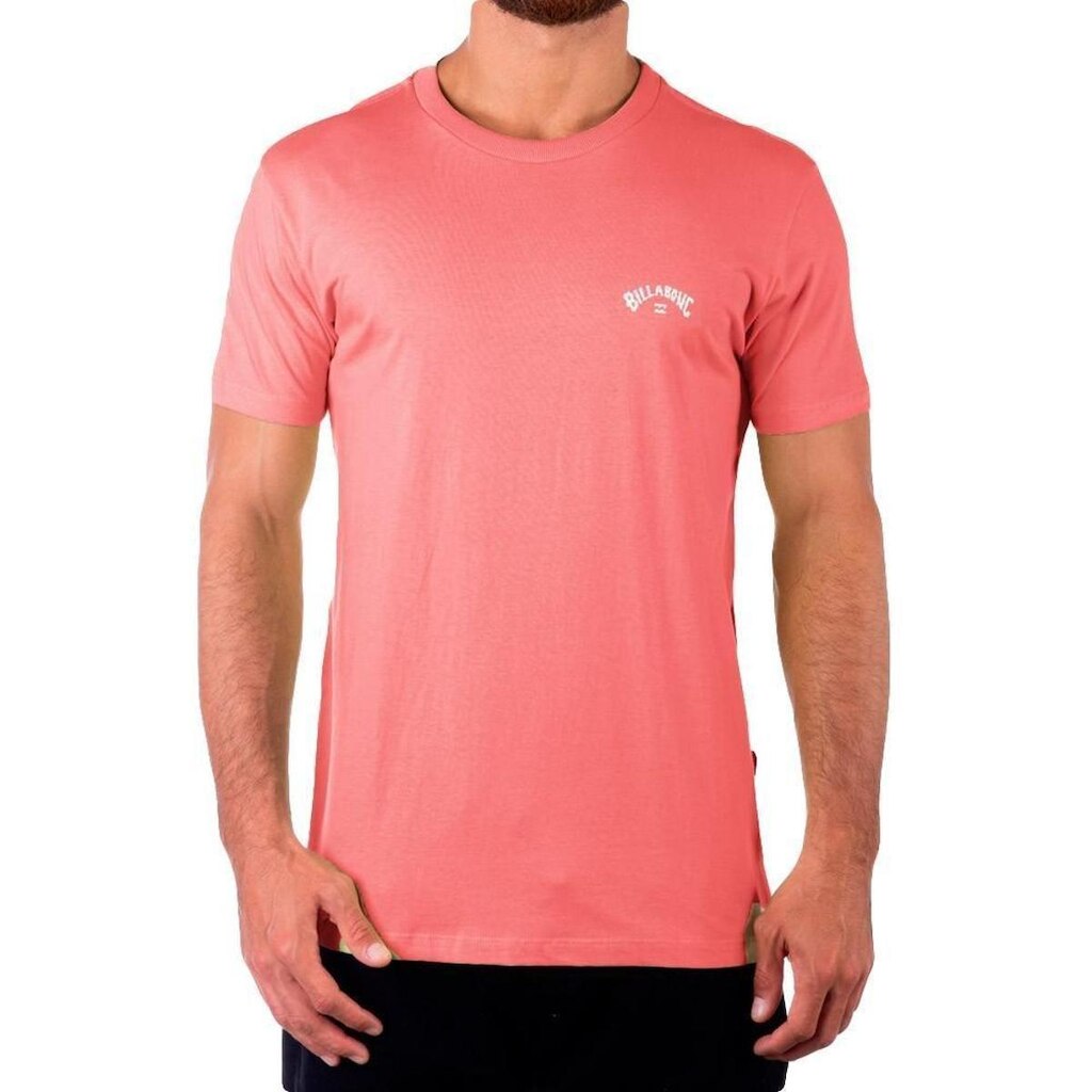 Camiseta Billabong Small Arch SM23 Masculina