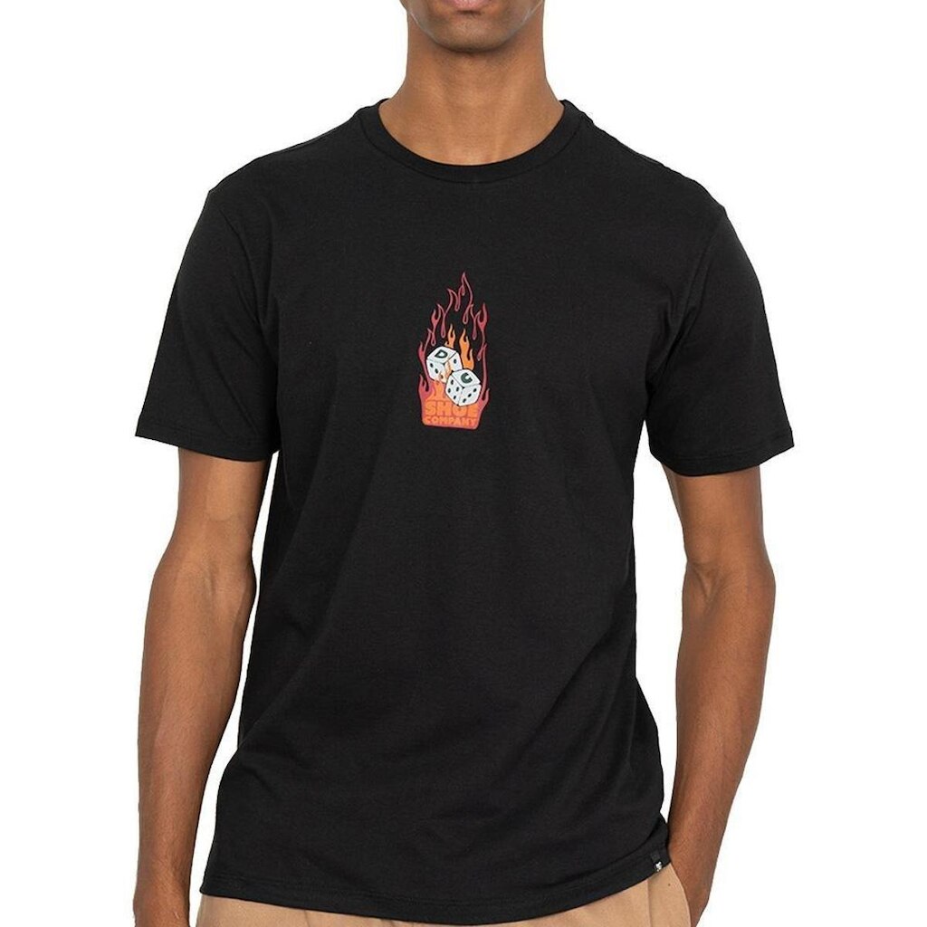 Camiseta DC Shoes Burning WT26 Masculina
