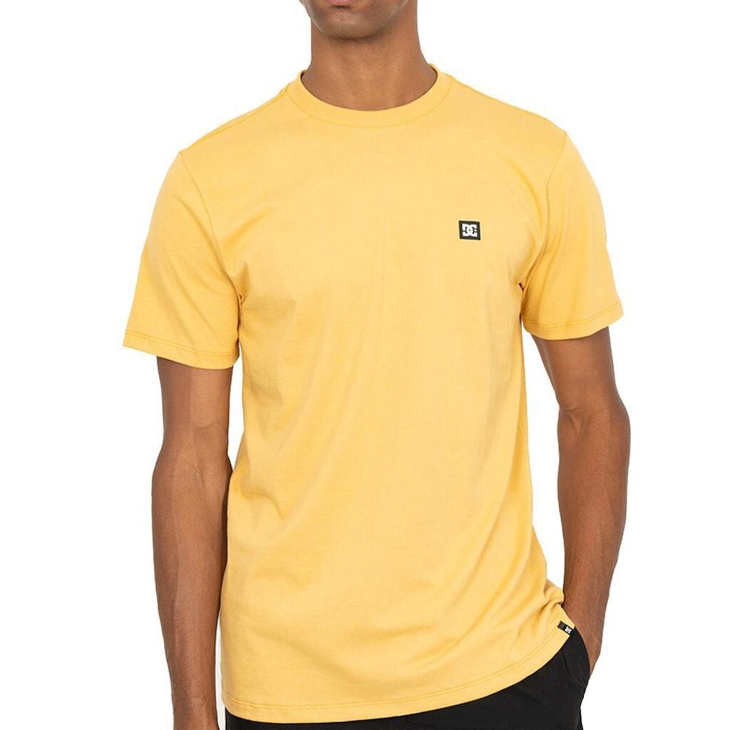 Camiseta DC Shoes Transfer WT26 Masculina