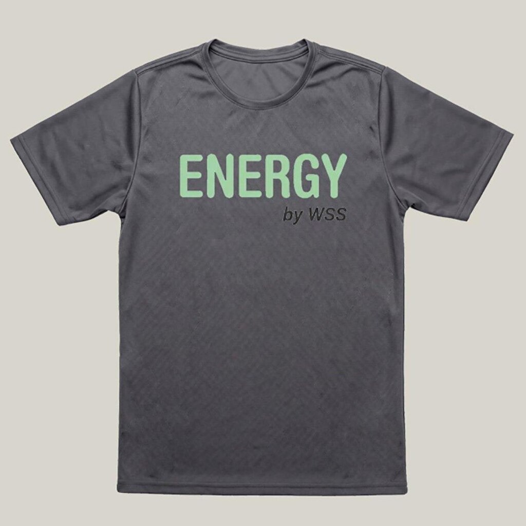 Camiseta Dry Masculina Treino WSS Brasil Energy