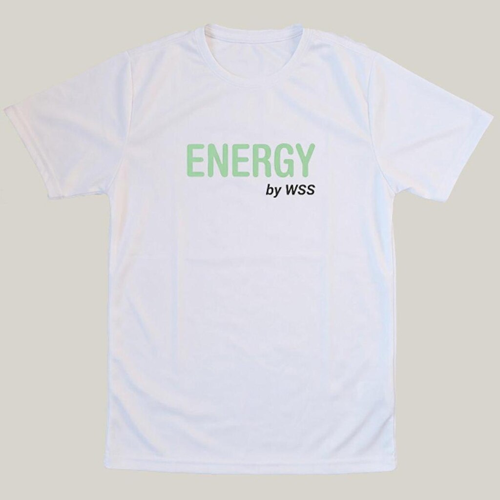 Camiseta Dry Masculina Treino WSS Brasil Energy
