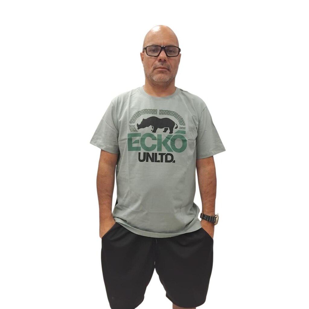 Camiseta Ecko Unltd Básica Masculina Branding Refsd Ek 841