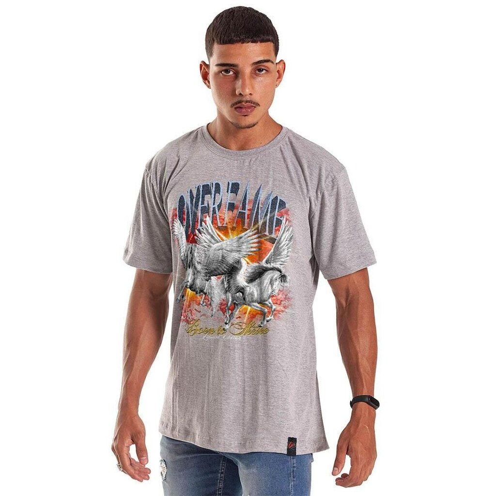 Camiseta Grafics Oversized Cinza Mescla Pegasus