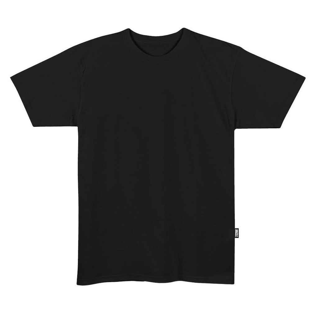 Camiseta Grizzly Blank Tee - V26GRC06