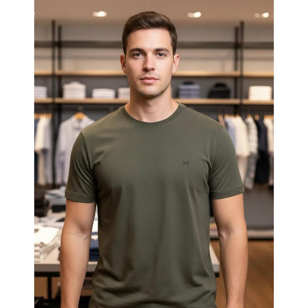Camiseta Hering Masculina Modelagem Regular