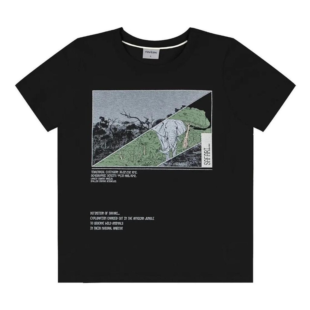Camiseta Infantil Menino De Algodão Gola Redonda
