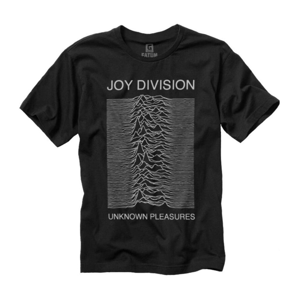 Camiseta Joy Division Camiseta Banda Joy Division