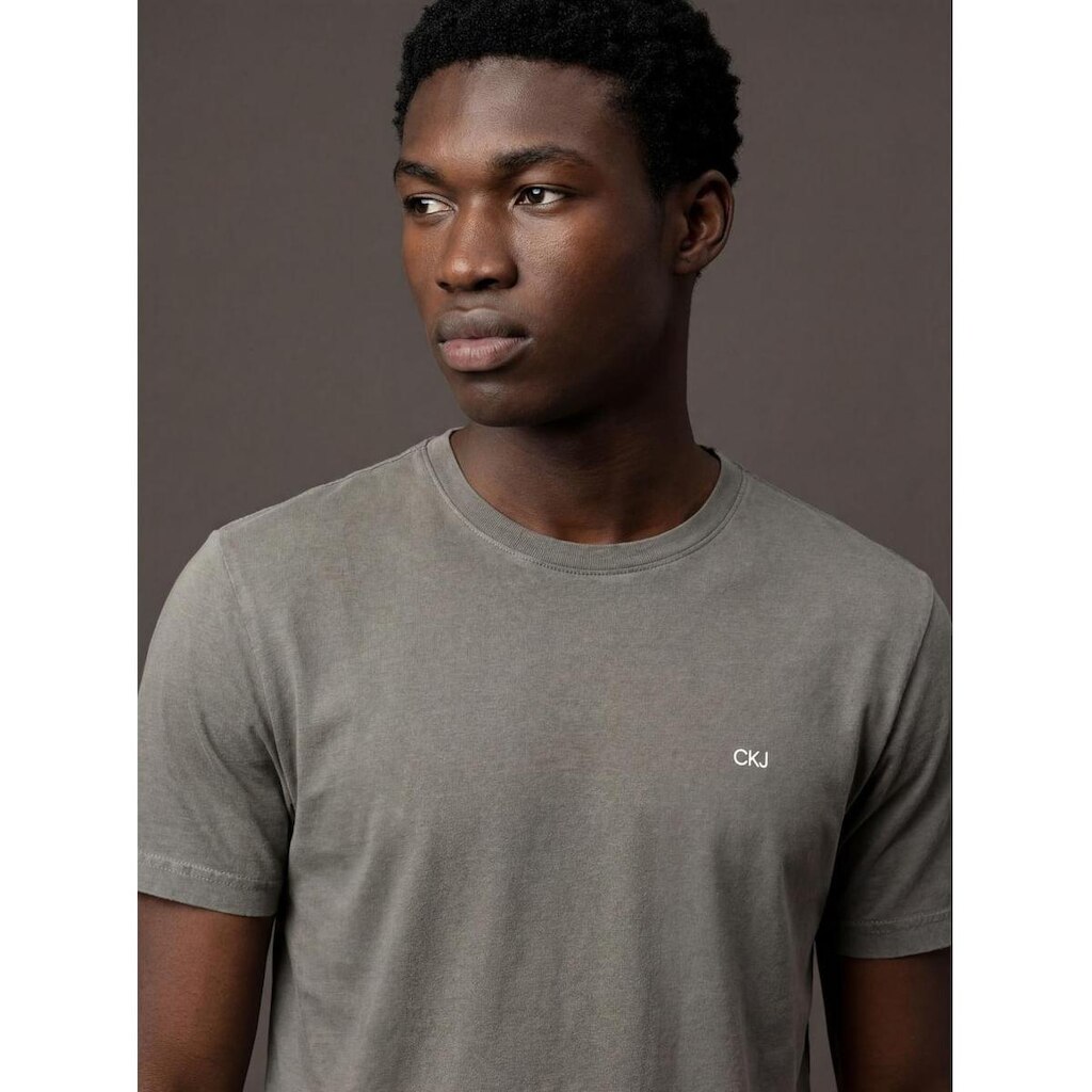 Camiseta Manga Curta Calvin Klein JeansLogo Ckj Pigmento