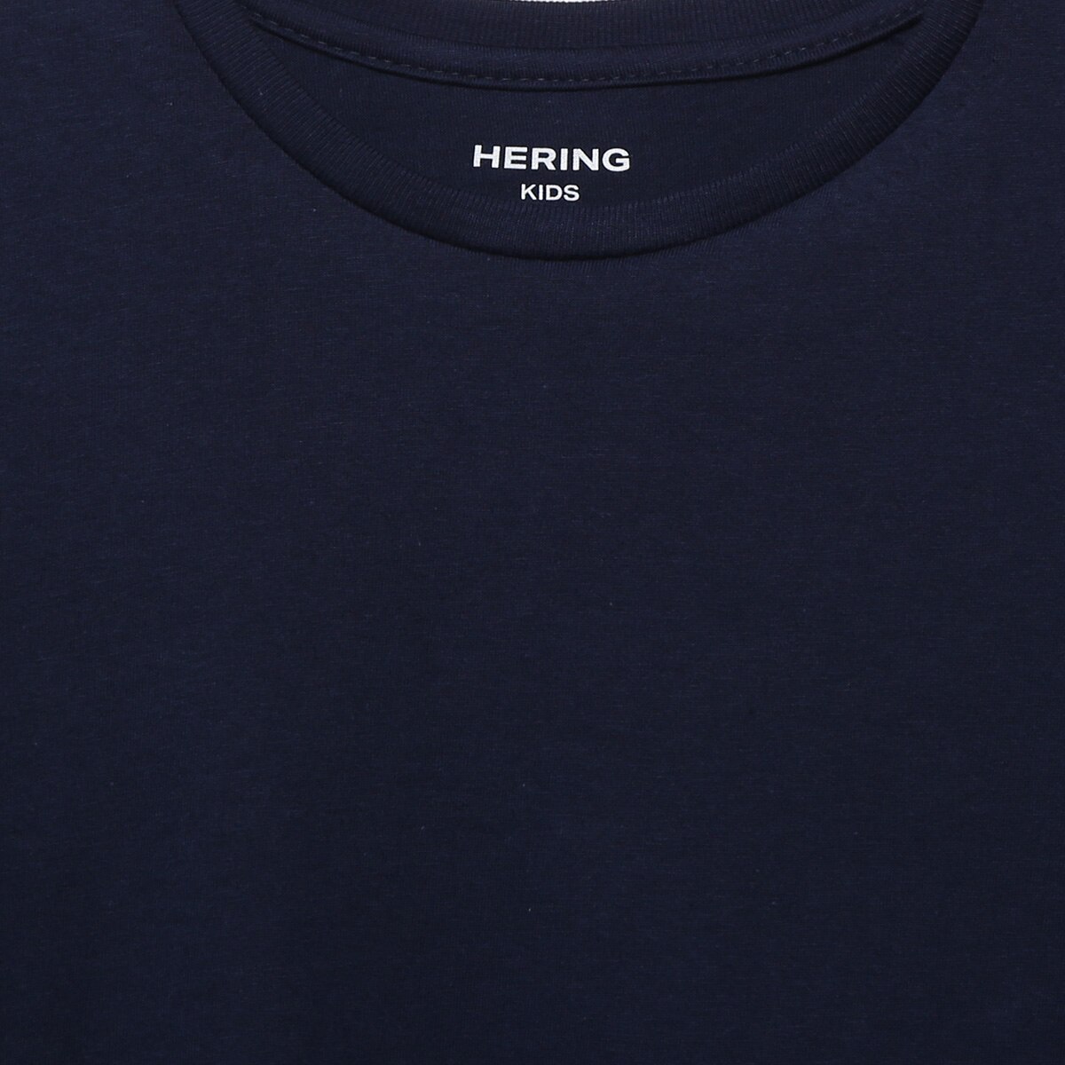 Camiseta Manga Longa Infantil Hering Casual Menino - 1