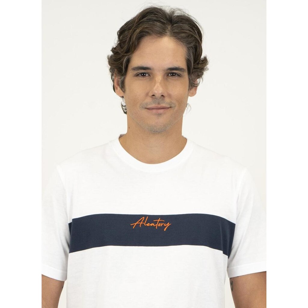 Camiseta Masculina Aleatory Listrada Logotype Bran