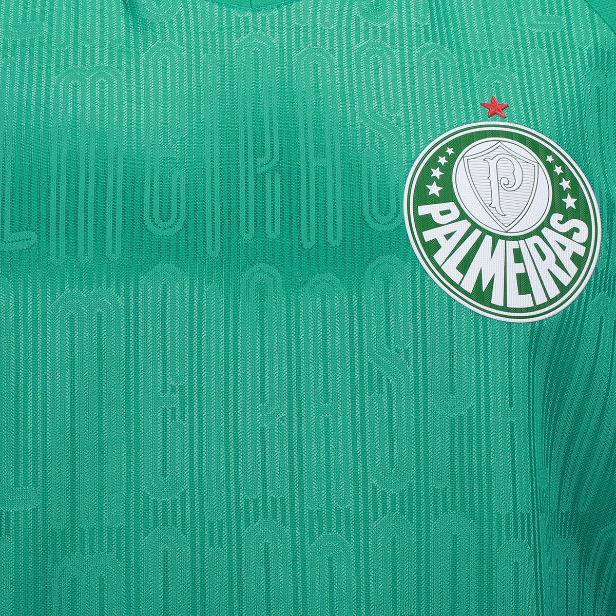 Camiseta Palmeiras Champion 1914 Masculina - 2