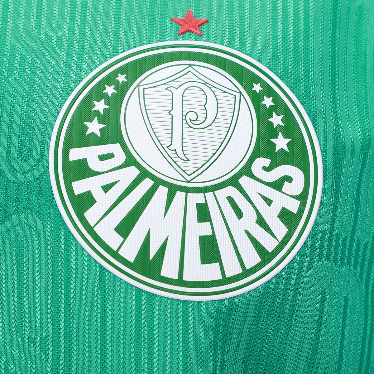 Camiseta Palmeiras Champion 1914 Masculina - 3