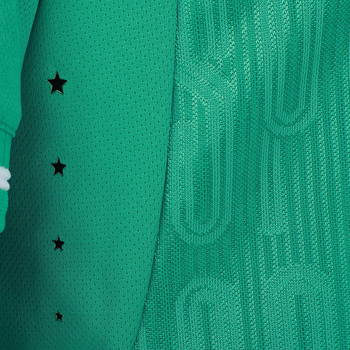 Camiseta Palmeiras Champion 1914 Masculina - 4