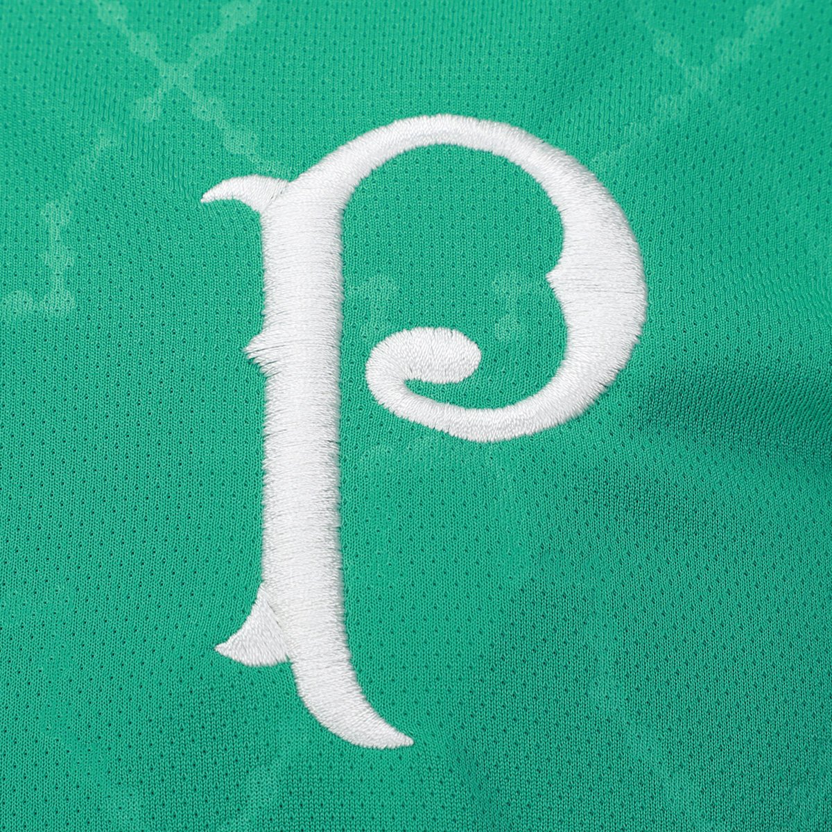 Camiseta Palmeiras Família Masculina - 3