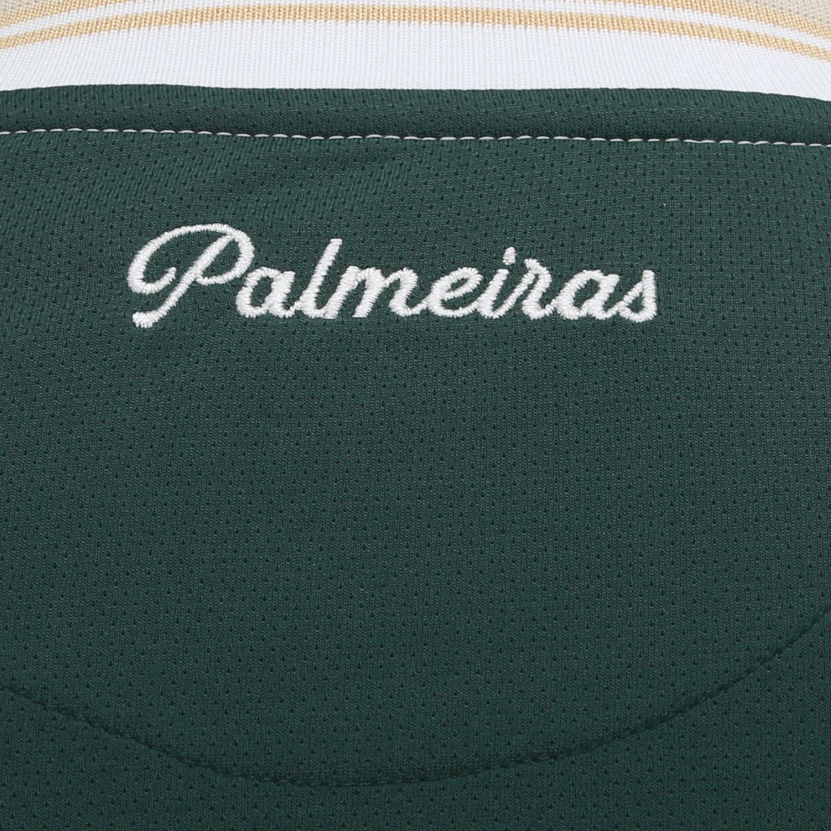 Camiseta Palmeiras Legado Masculina - 3