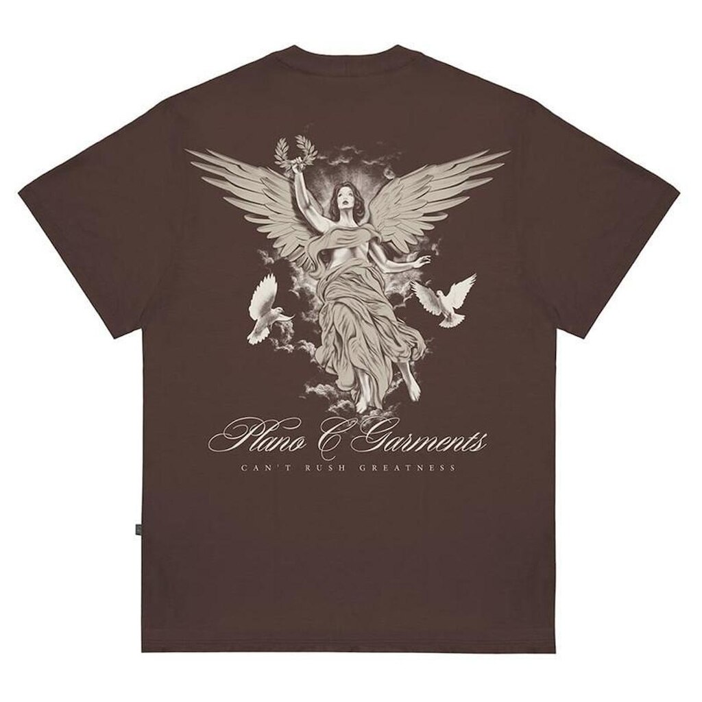Camiseta Plano C Greatness Marrom