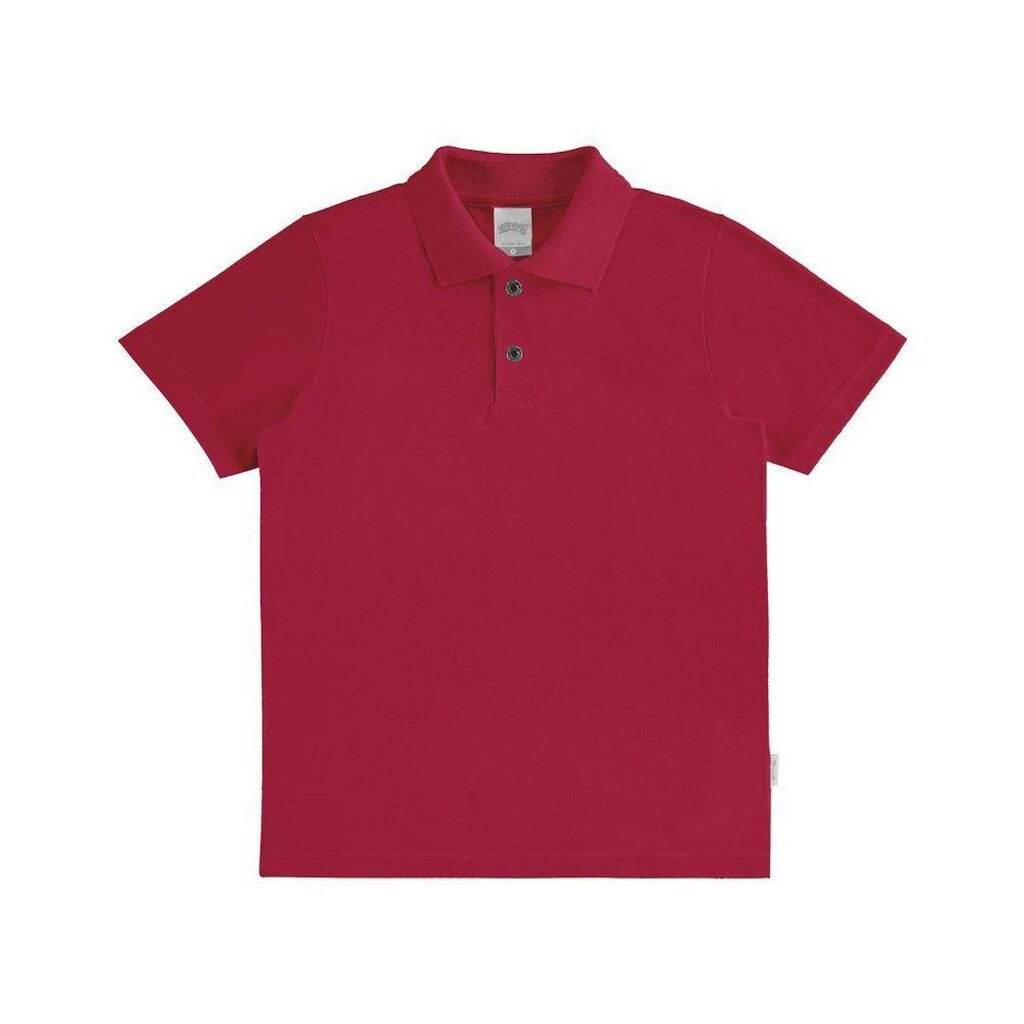 Camiseta Polo Infantil Menino Alakazoo Ref 149
