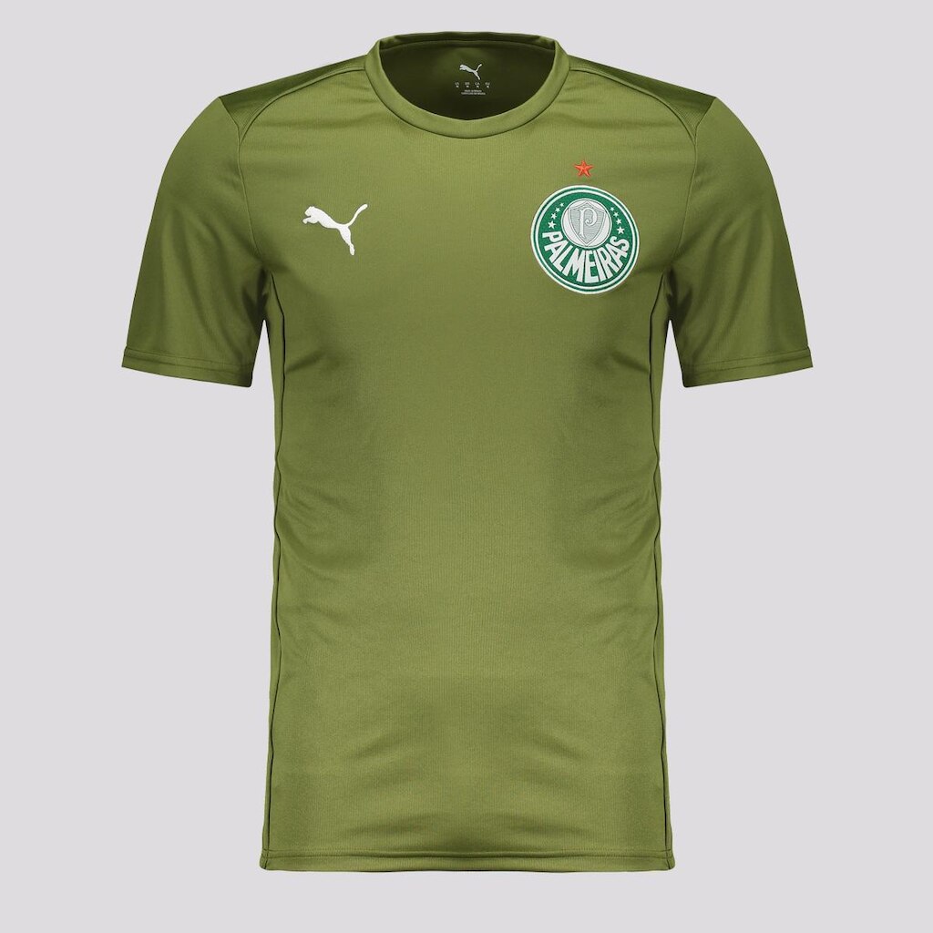 Camiseta Puma Palmeiras Casuals 2025