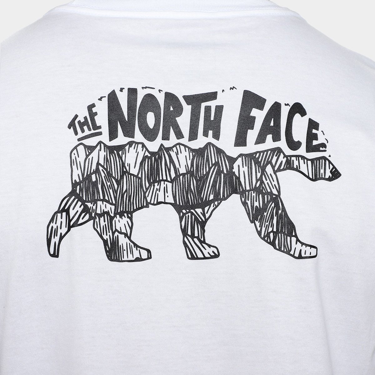 Camiseta The Nort Face Evolution Bear - 6