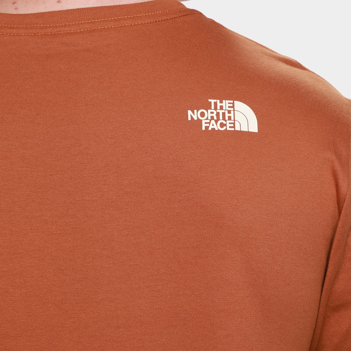 Camiseta The Nort Face Evolution Edge Of Light Half Dome - 3