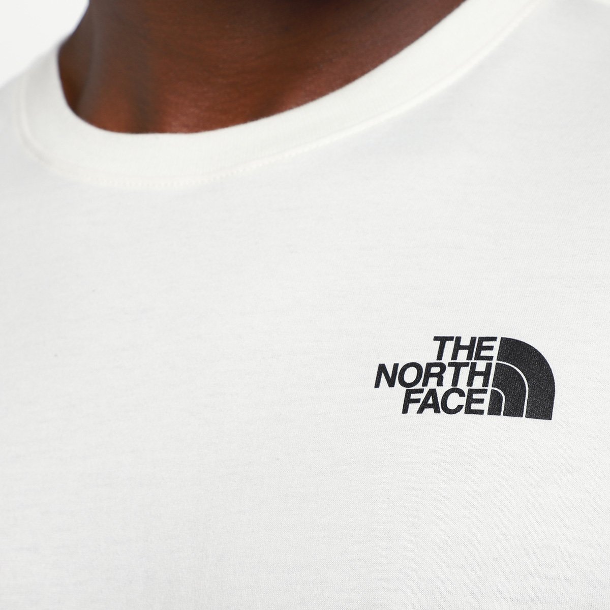 Camiseta The Nort Face Evolution Half Dome MTN - 4
