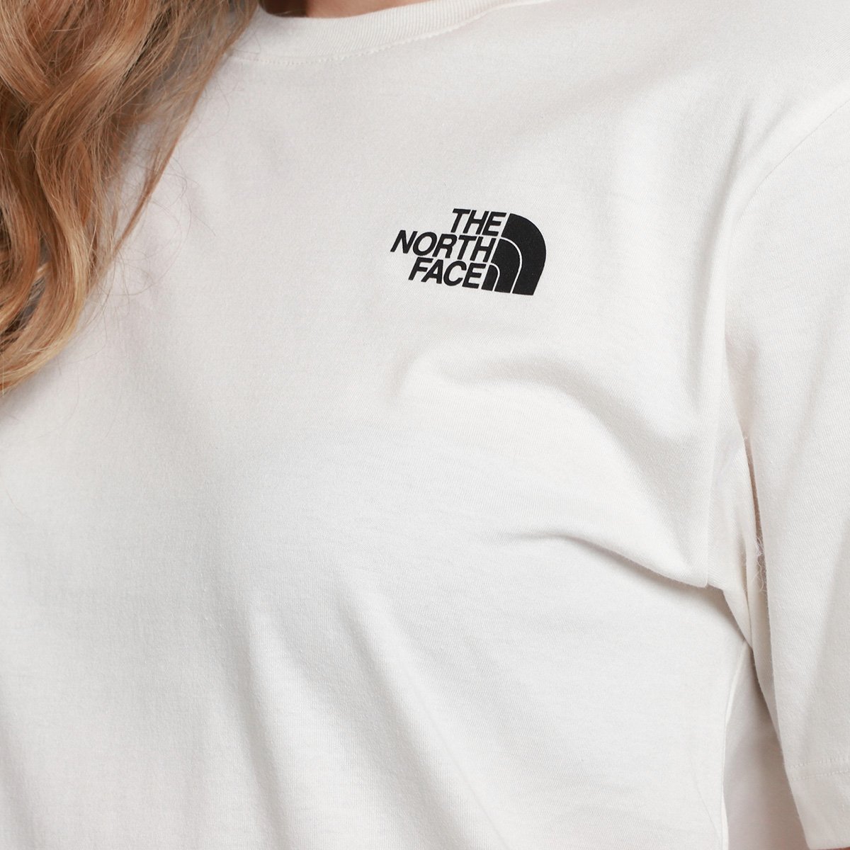 Camiseta The Nort Face Evolution Half Dome MTN - 5