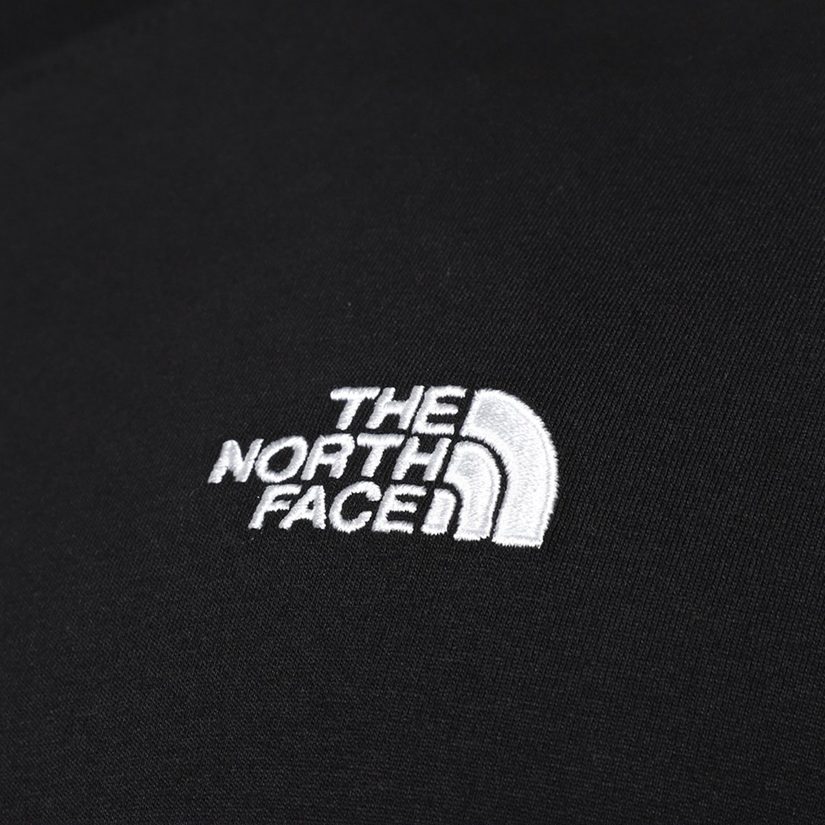 Camiseta The Nort Face Evolution Summit - 6
