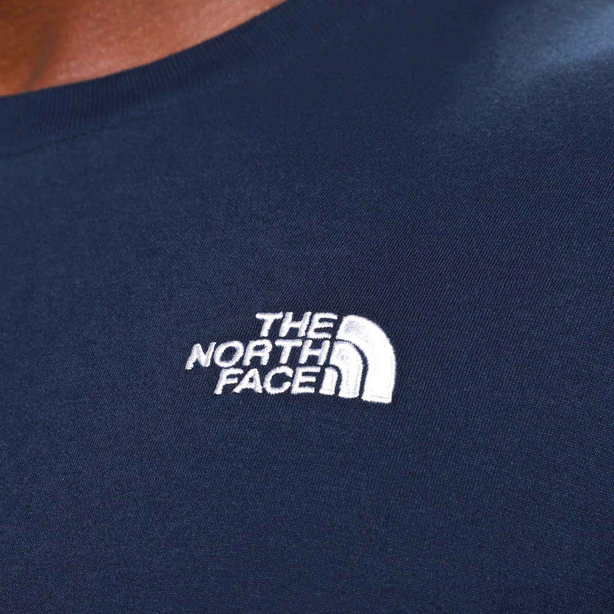 Camiseta The Nort Face Evolution Summit - 4