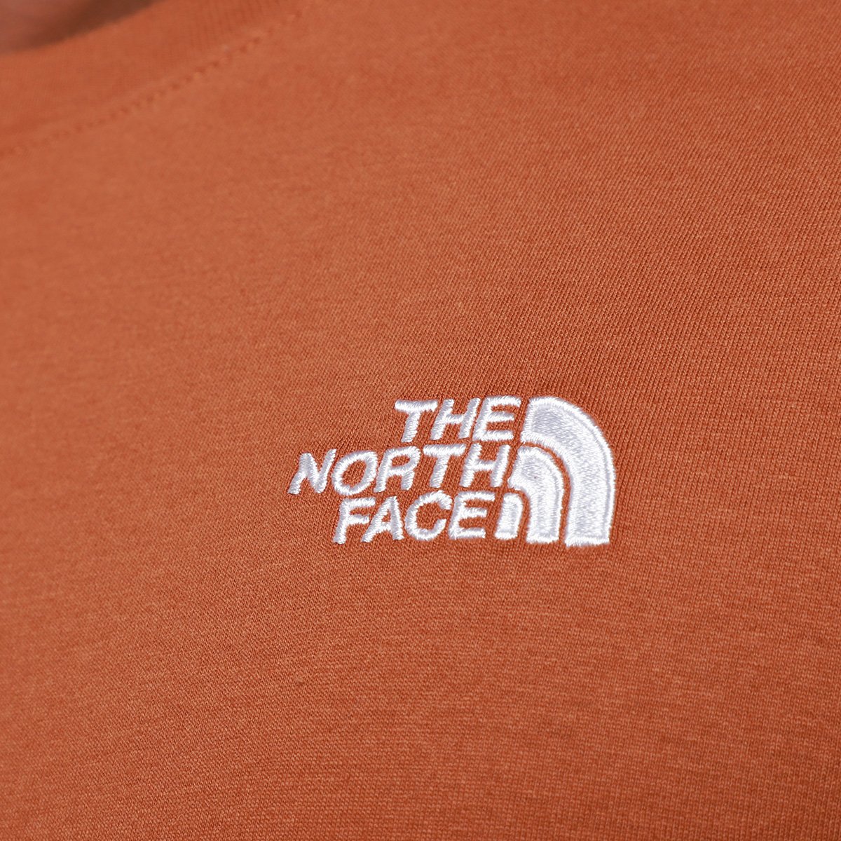 Camiseta The Nort Face Evolution Summit - 4