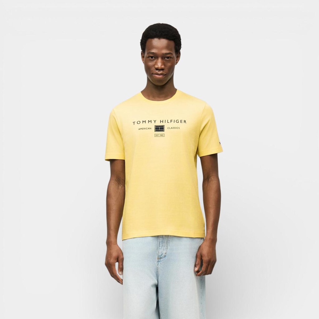 Camiseta Tommy Hilfiger Brand Love Mono Stack Azul Claro