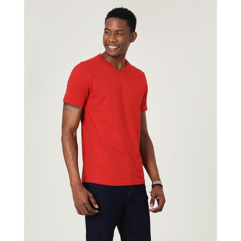 Camiseta Tradicional Malwee Masculina