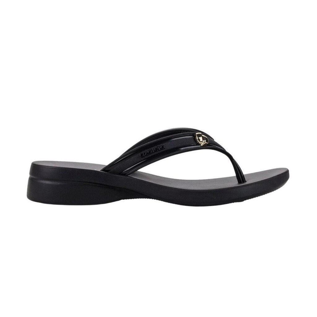 Chinelo Azaleia Feminina