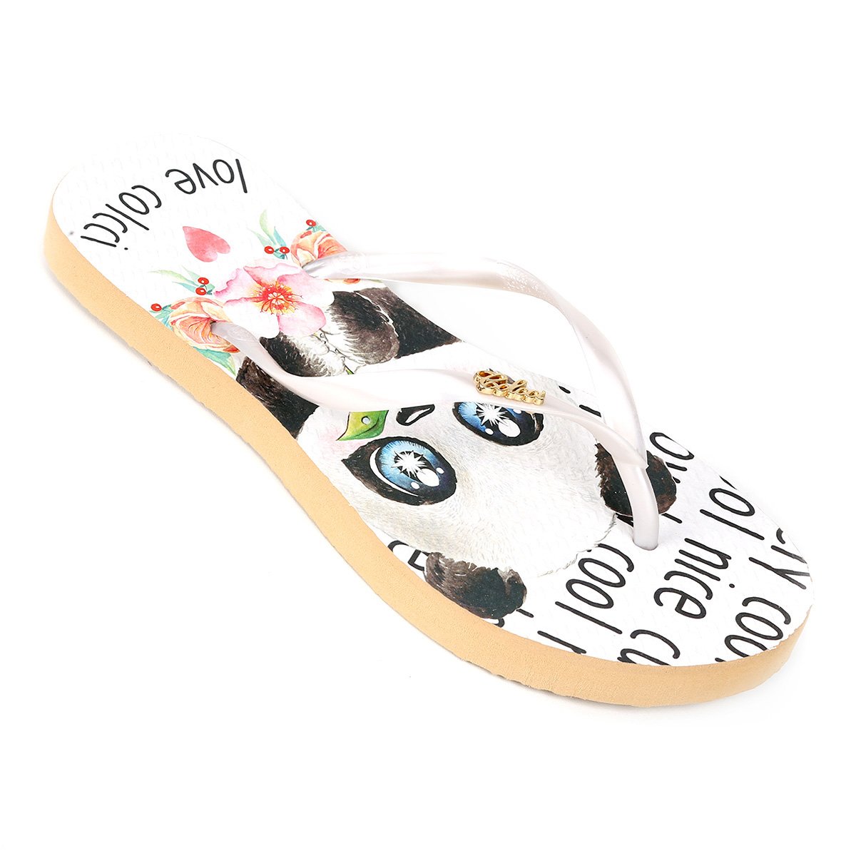 chinelo colcci netshoes