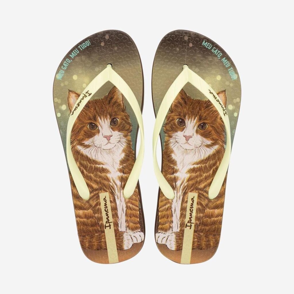 Chinelo de Dedo Marrom Pets Pop Ipanema