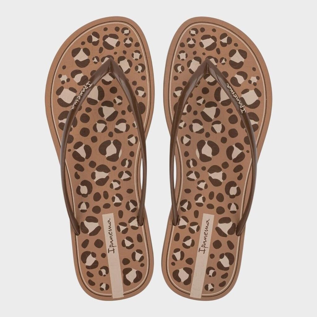 Chinelo Feminino Ipanema Anatômico mood