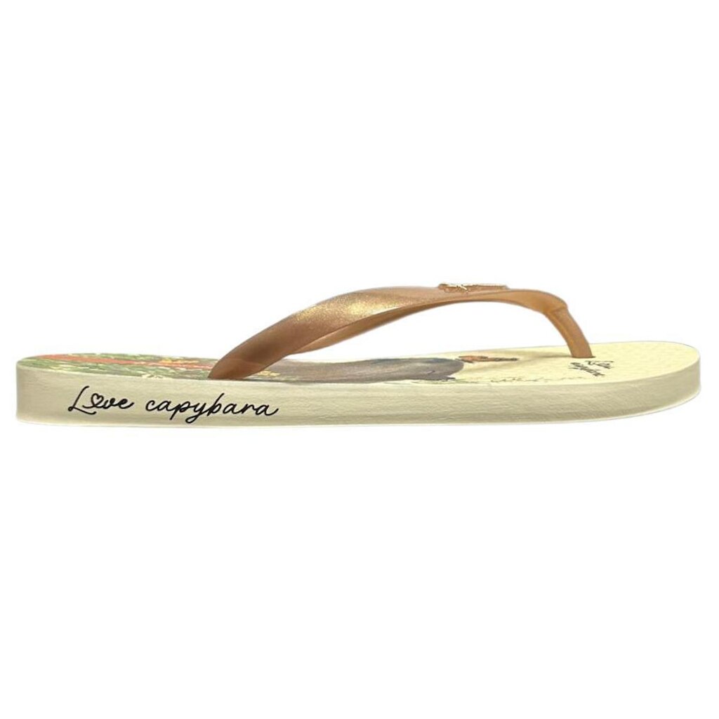 Chinelo Ipanema  Estampado Feminino