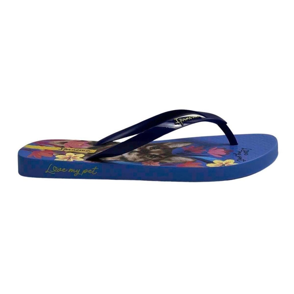 Chinelo Ipanema Feminino