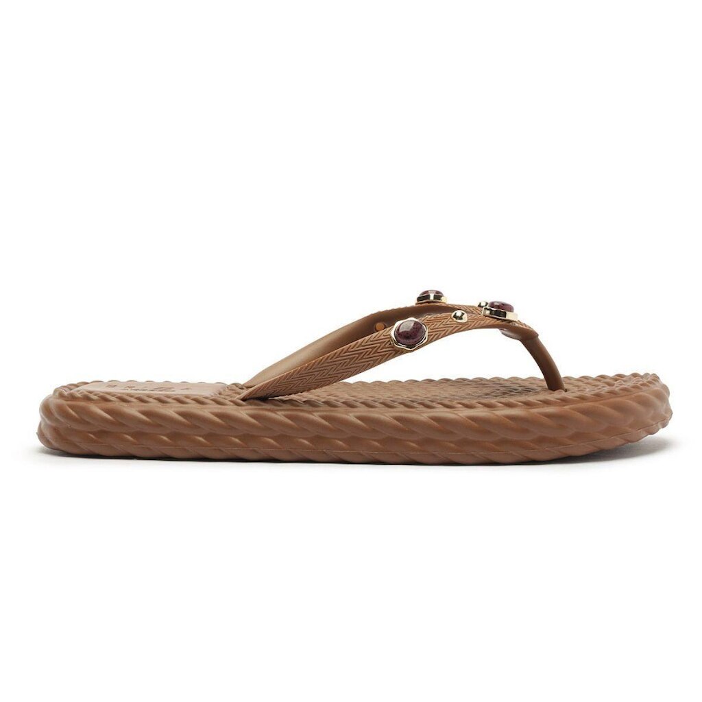 Chinelo Moderno com Aplicações Dia a Dia Lançamento Brizza