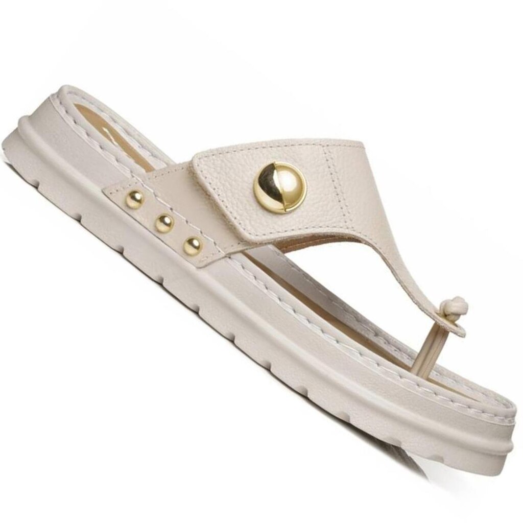 Chinelo Pegada 234702 Feminino