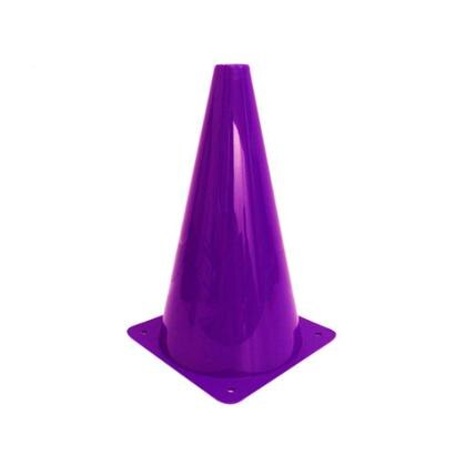 Cone Plastcor de Plástico Rígido 23cm - Roxo | Netshoes