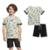Conjunto Infantil Camiseta Bermuda Sarja Dinossauro Luc.Boo - Cinza