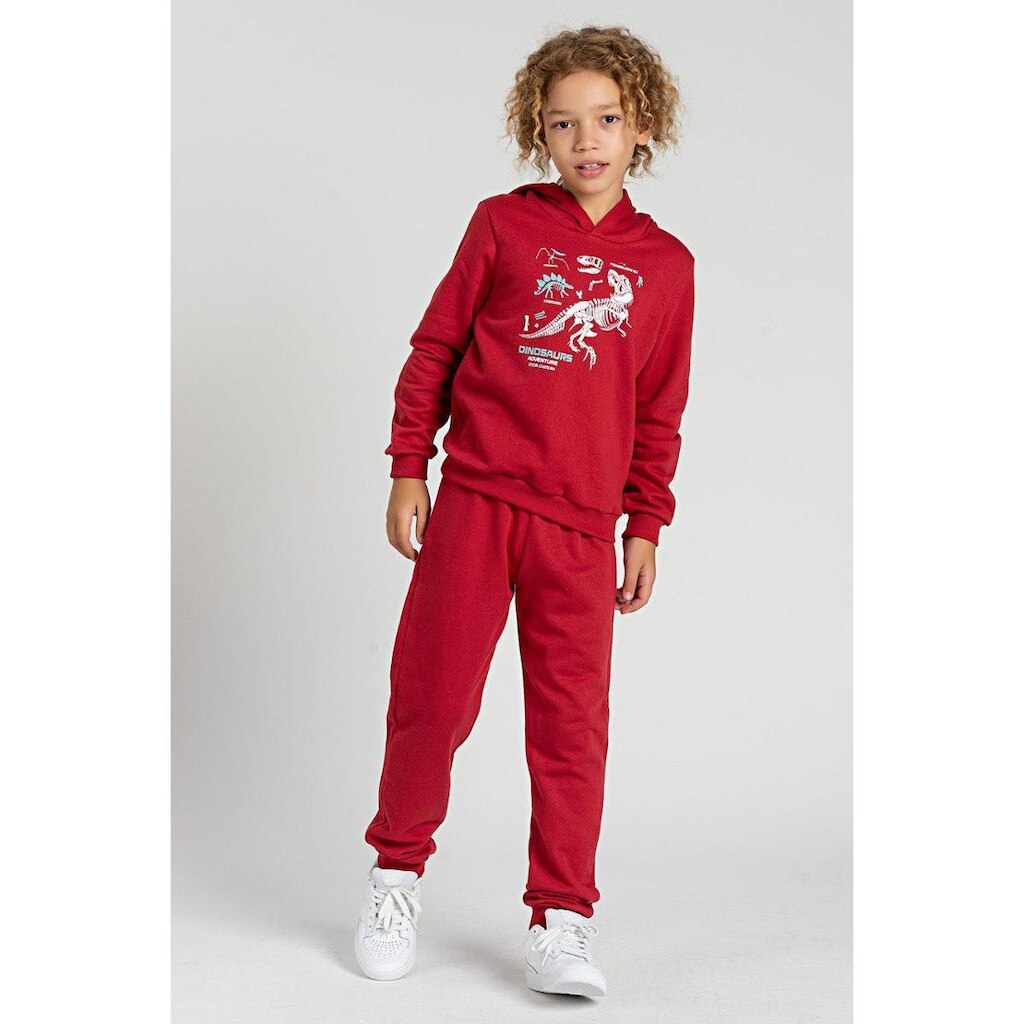 Conjunto Infantil   Moletom Dinossauro
