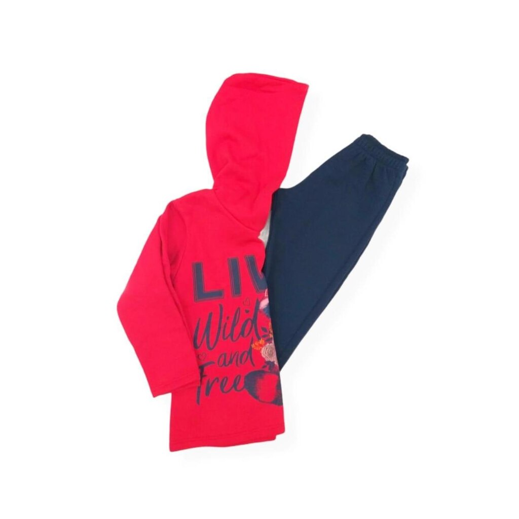 Conjunto infantil moletom menina guaxinim