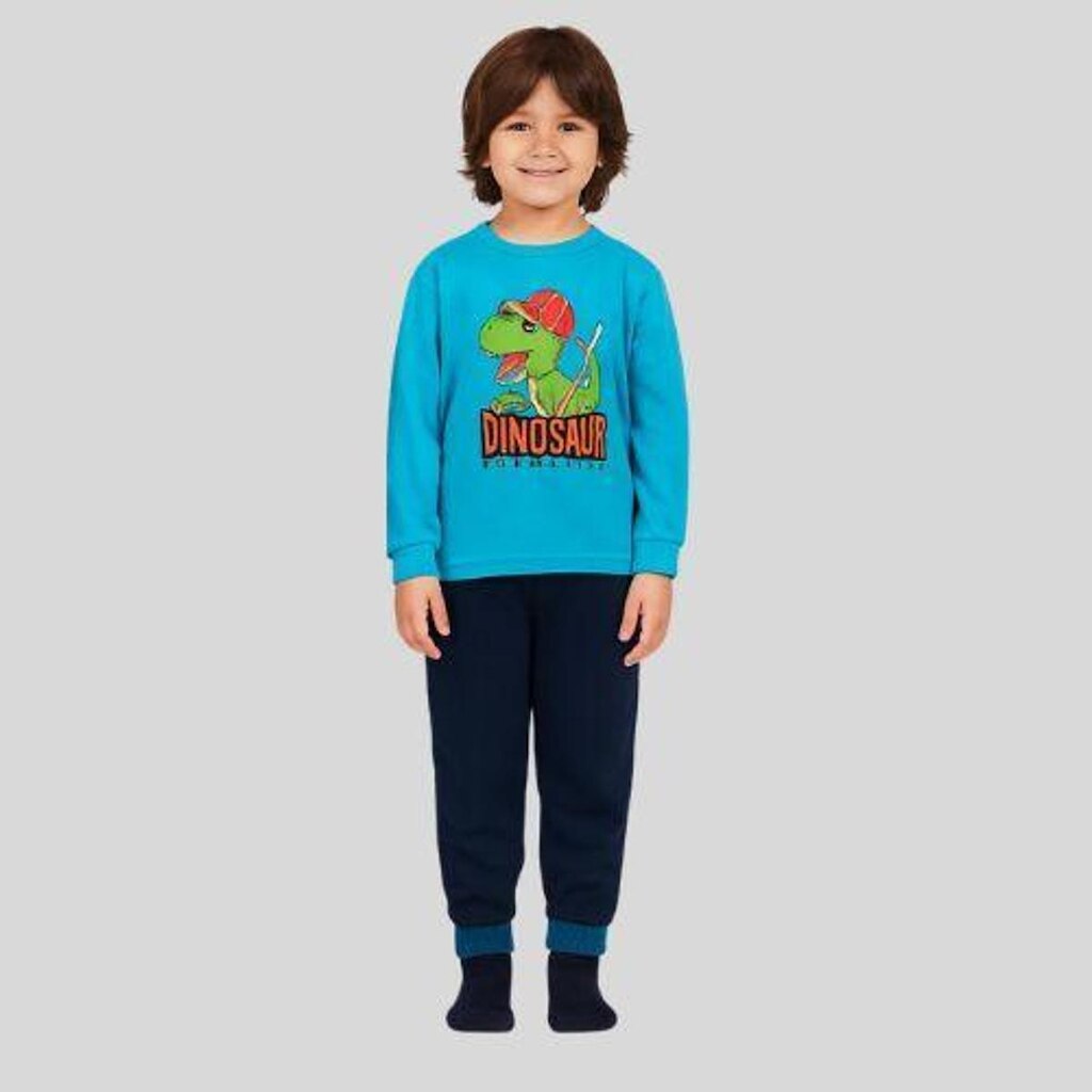 Conjunto Moletom Infantil Dinossauro Rei Rex