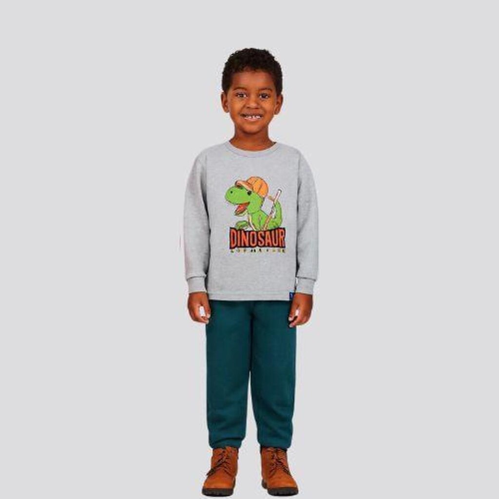 Conjunto Moletom Infantil Dinossauro Rei Rex