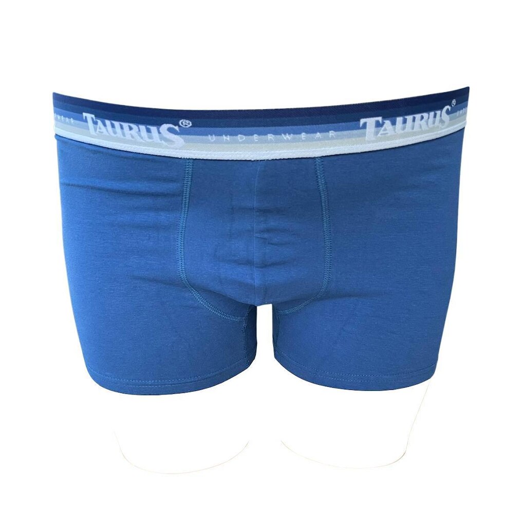 Cueca Boxer Cotton Plus Size Elastico Personalizado Taurus