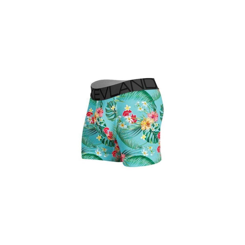 Cueca Boxer Kevland Flora Blue