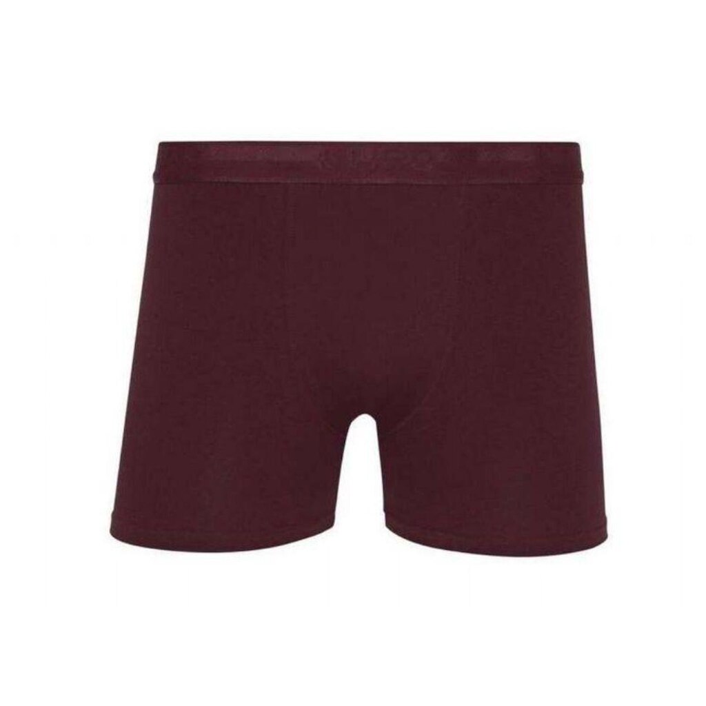 Cueca Boxer Lupo Algodão Com Elastano Masculino Adulto - Ref 00784-017/024