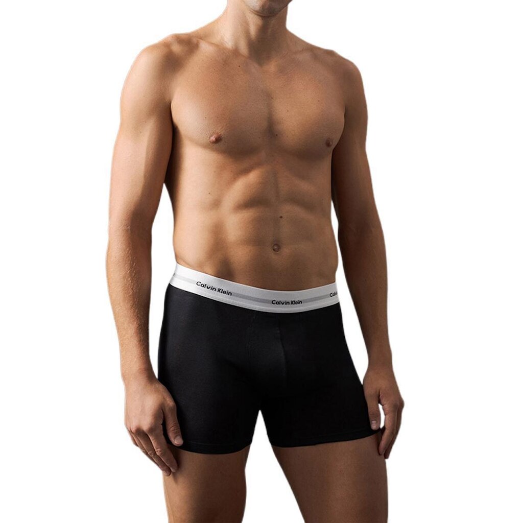 Cueca Boxer Modal Calvin Klein Modern Logo EM0042