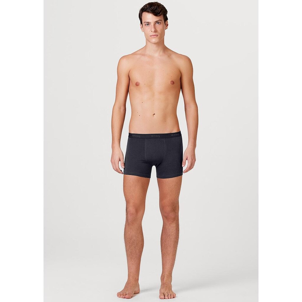 Cueca Hering Boxer